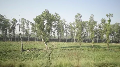 Uttarakhand from train window Stock Footage 77155973