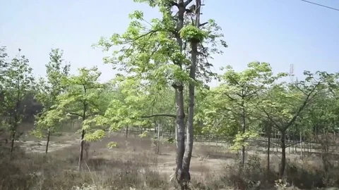 Uttarakhand from train window Stock Footage 77156244