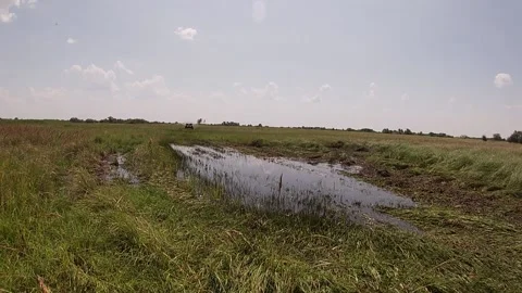 UTV driving through a puddle at high speed Stock Footage 159353216