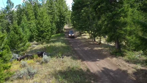 UTV racing through Yellowstone mountain forest 4K Stock Footage