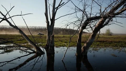 UTV Off Road Extreme Racing Stock Footage 108065550