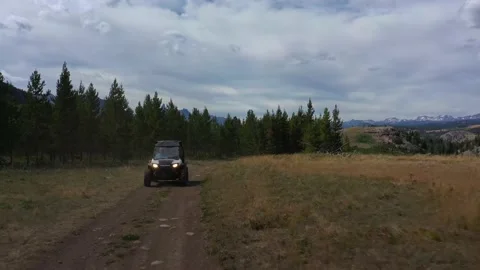 UTV through trees in Yellowstone forrest 4K Stock Footage 144031528