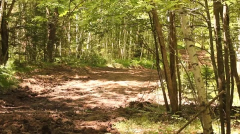 UTV's and ATV's Racing a Hare Scramble in the Woods Stock Footage 41933518