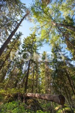 Uutela recreational park Stock Photos