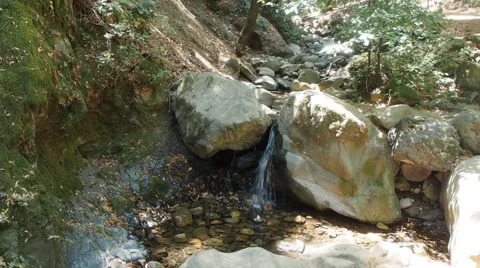 Uvas Canyon County Park Stockbeeldmateriaal 67602131
