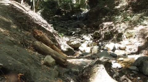 Uvas Canyon Stock Footage 67602126