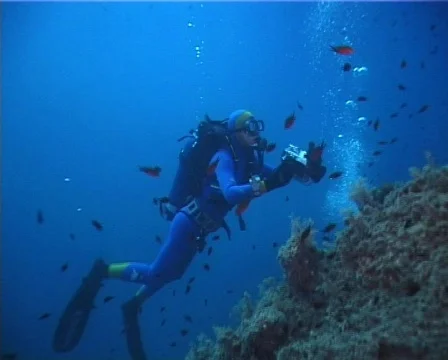 UW cameraman (D170) 動画素材 150495