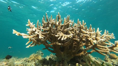 UXKU0496 Stock Footage 128117560