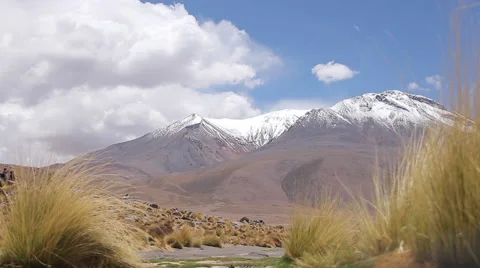 UYUNI walking Stock Footage 40005813