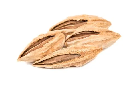 Uzbek almonds in shell Stock Photos