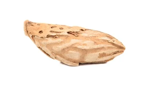 Uzbek almonds in shell Stock Photos