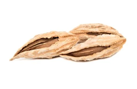 Uzbek almonds in shell Foto stock