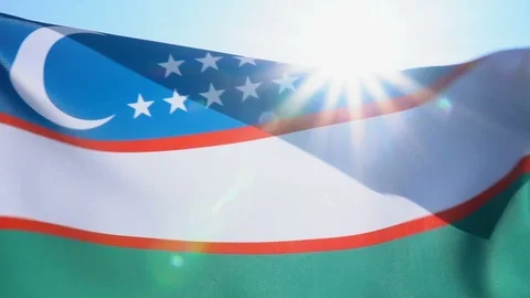 Uzbekistan Flag Flapping Stock Footage 118957583