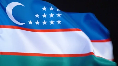 Uzbekistan Flag Flapping Stock Footage 118970720