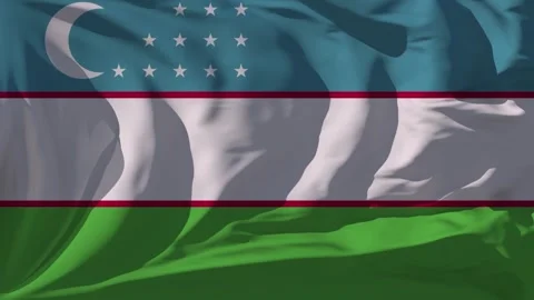 Uzbekistan Flag Loop Stock Footage 295743941