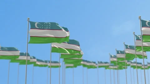 Uzbekistan Row Of Flags Animation Video stock 148803840