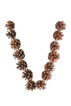 V letter made of pine cone Stock Photos
