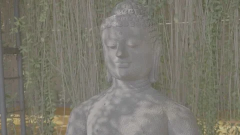 (V-LOG) Stone Buddha Statue Head Medium Shot Under A Tree Shade Stock Footage 255919807