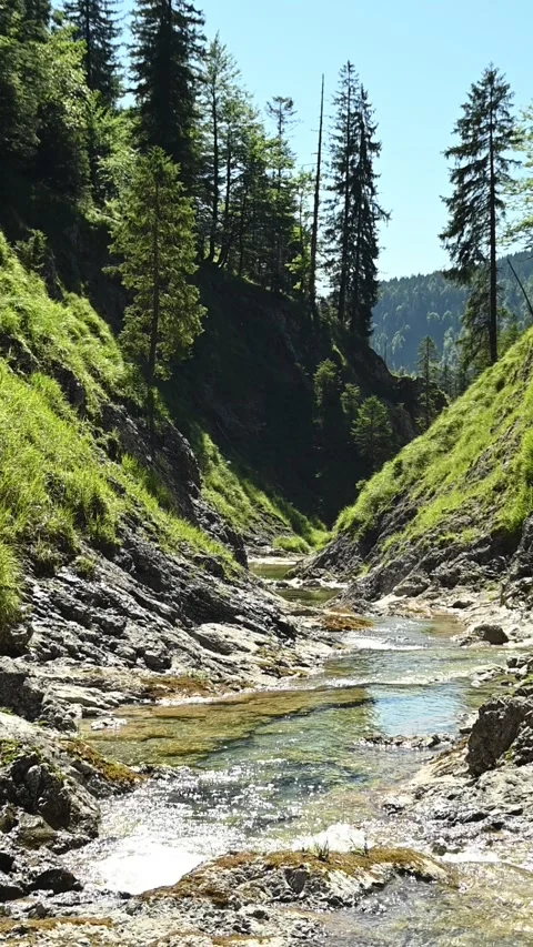 A v-shaped mountain stream in summer with trees in the background, vertical shot Stock Footage 260879037