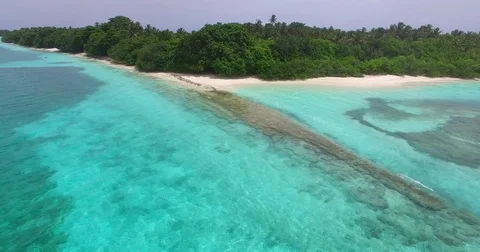 V00508 Maldives beautiful beach background white sandy tropical paradise island Stock Footage