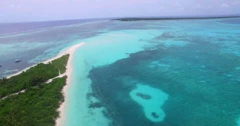 V00558 Maldives beautiful beach background white sandy tropical paradise island Stock Footage