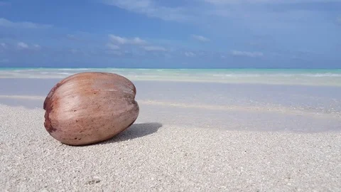 V00597 Maldives beautiful beach background white sandy tropical paradise island Stock Footage