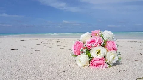 V00729 Maldives beautiful beach background white sandy tropical paradise island Stock Footage