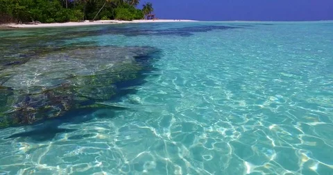 V01834 Maldives beautiful beach background white sandy tropical paradise island Stock Footage