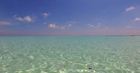 V01922 Maldives beautiful beach background white sandy tropical paradise island Stock Footage