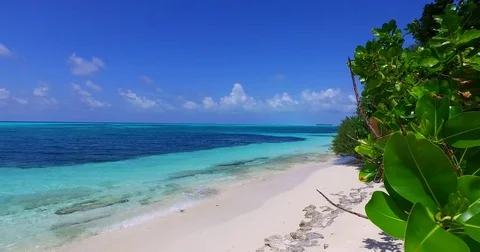 V01948 Maldives beautiful beach background white sandy tropical paradise island Stock Footage