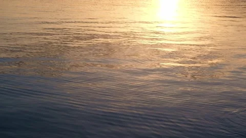 V1-0001 sea00160104 Stock Footage 333961774