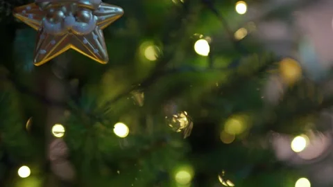 V1-0010 00639425 Stock Footage 167467229