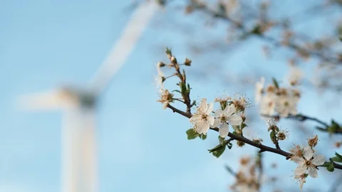 V19 klosterfelde Stock Footage 105917590