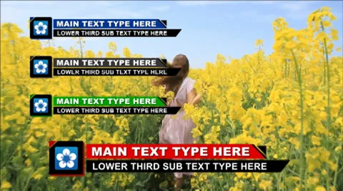 V2 Lower Third 3 스톡 After Effects