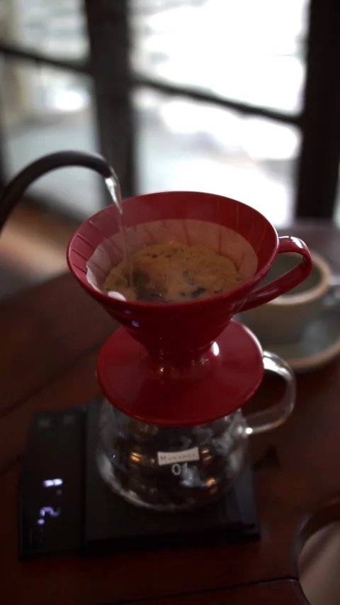 V60 Manual Brew Stock Footage 307738814