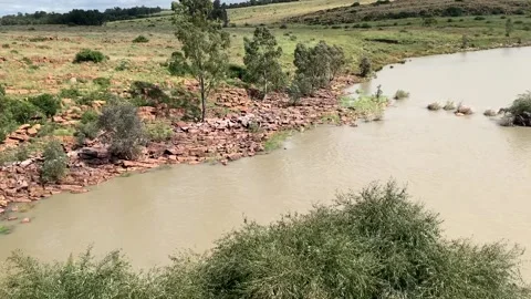 Vaal River Video stock 201943782