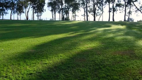 Vacant grass lawn background texture in sunlight with tree shades in park Vídeos de archivo 244923355
