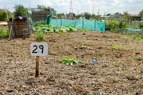 Vacant Plot, Allotment Garden Foto stock