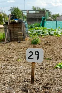 Vacant Plot, Allotment Garden Stock Photos