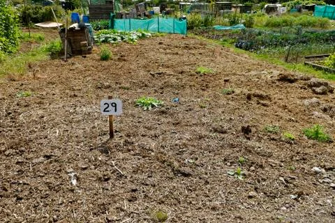 Vacant Plot, Allotment Garden Stock Photos