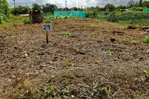 Vacant Plot, Allotment Garden Stock Photos