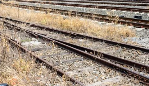 Vacant Rail way switch track with yellow die grass Stock Photos