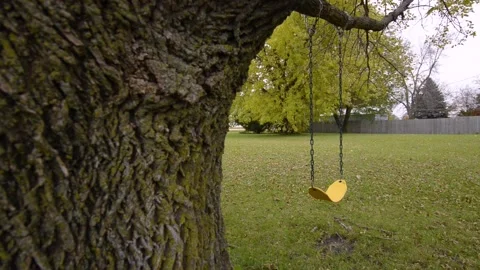 Vacant Tree Swing in Backyard Stock Footage 144227497