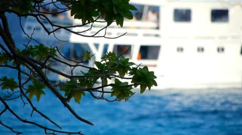 Vacation 10 Stock Footage 10803998