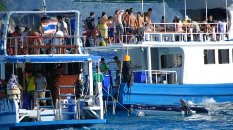 Vacation 11 Stock Footage 10804007