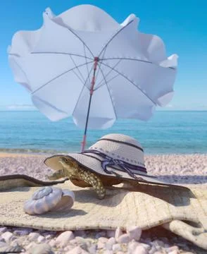 Vacation  background with seashell,umbrella, turtle and beach accessories Stock Illustration