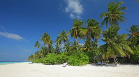 Vacation beach Stock Footage 666846