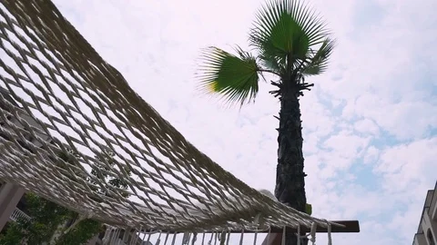 Vacation in bulgaria, view of a swinging hammock and palm trees. Stock Footage
