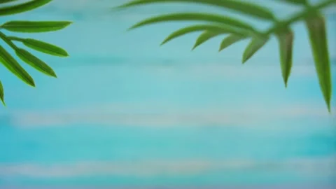 Vacation concept Stock Footage 154241845