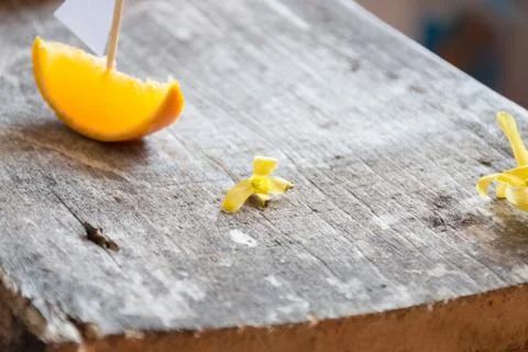 Vacation concept. Stock Photos